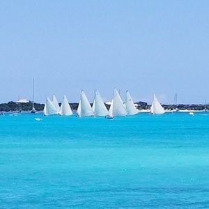 Meet your Posher, Aaron